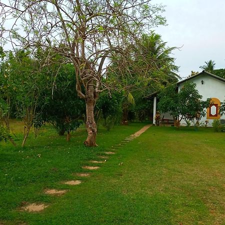 Hideaway Homestay Habarana Exterior photo