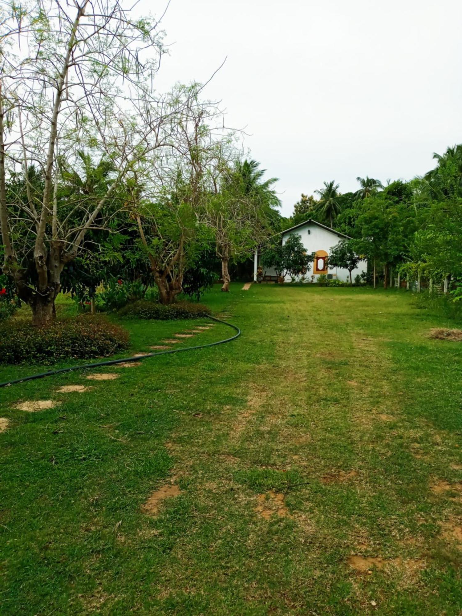 Hideaway Homestay Habarana Exterior photo